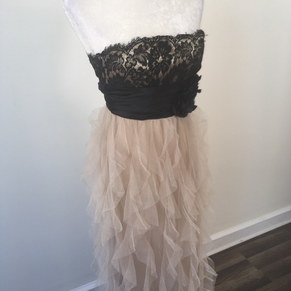 Roberta Nude / Black Lace Ruffle Dress - Picture 4 of 7